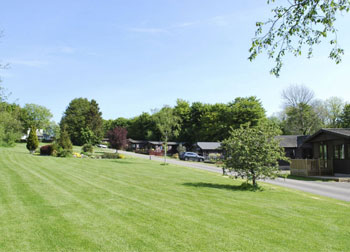 Millness Hill